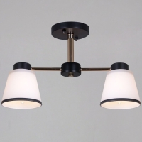 Потолочный светильник Reluce 30560-0.3-02 BK+FG