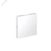 Заглушка ATLASDESIGN, БЕЛЫЙ Systeme Electric ATN000109
