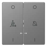 Клавиша двойная Schneider Electric Merten D-Life MTN3429-6036