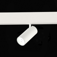 Трековый магнитный светильник ST Luce Skyline 48 ST375.506.07ZGB