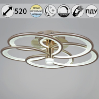 Потолочная люстра Reluce 09246-0.3-5S Champaign silver