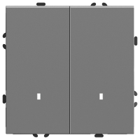 Выключатель 2-клавишный c индикатором Stekker Эмили RSW10-5102-10 49942