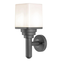 Уличный настенный светильник Lussole LSP-8956