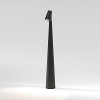 Настольная лампа Elektrostandard Elite 4690389208508 TL70250 a068070