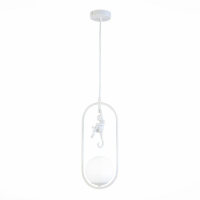 Подвесной светильник Evoluce Tenato SLE115123-01