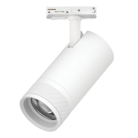 Трековый светильник для однофазного/трехфазного шинопровода Barra 20-55G с тонким адаптером Lightstar Canno Pro C4306SS