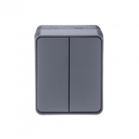 AtlasDesign Profi54 выключатель двухклавишный IP54 10 АХ, АНТРАЦИТ, Россия Systeme Electric ATN544051