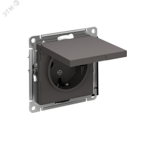 ATLASDESIGN РОЗЕТКА с заземл. со шторками с крышкой, 16А, IP20, механизм, БАЗАЛЬТ Systeme Electric ATN001446