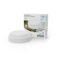 Уличный светодиодный светильник Gauss 126411312-S GAUSS