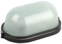 Настенно-потолочный светильник Эра НБП 04-100-001 черный Б0063863