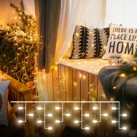 Гирлянда занавес Eurosvet 200-001 теплый белый 1.5*1м IP20