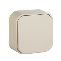 Выключатель одноклавишный, наружный, 10А, бежевый Legrand/Daccord 782230