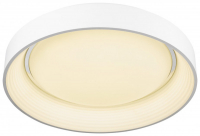 Потолочный светильник WERTMARK WE412.02.027 Wertmark