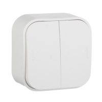 Quteo Выключатель двухклавишный наружный белый 10А Legrand 782202