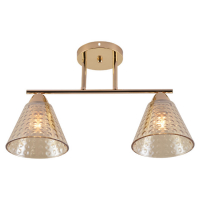 Потолочный светильник Seven Fires Fabius SF3391/2C-FGD-CL