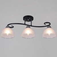 Потолочный светильник Reluce 66360-0.3-03 BK+CR