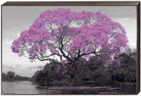 Постер на подрамнике Toplight 60х90х4см TL-D4063