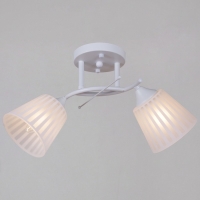 Потолочный светильник Reluce 82460-0.3-02 WH