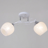 Потолочный светильник Reluce 65560-0.3-02 WH+CR