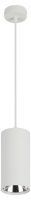 Подвесной светильник ЭРА PL12 GX53 WH/SL Б0048543