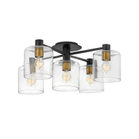 Потолочная люстра Hinkley QN-AXEL5-BK