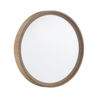 Настенно-потолочный светильник Sonex Pale Woodi 7603/CLN