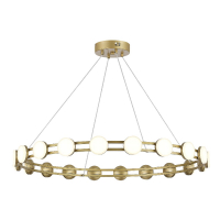 Подвесная люстра ST Luce Monro SL6610.203.20