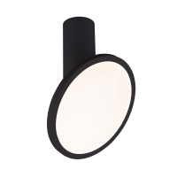 Накладной светильник Elektrostandard DLS029 12W 4200K черный матовый 4690389149078