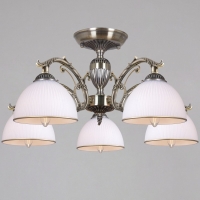 Потолочная люстра Reluce 19018-0.3-05