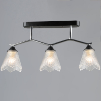 Потолочная люстра Reluce 77320-0.3-03 CH+BK