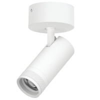 Накладной светильник 20-55G с адаптером Lightstar Canno Pro C4206SO