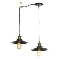 Подвесной светильник Lussole LOFT New York LSP-9601-2