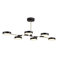 Потолочный светильник Evoluce Monta SLE6004-402-06