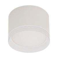 Накладной светильник Reluce 53004-9.5-001LD GX53 WT