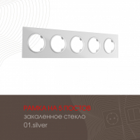 Рамка пятиместная Arte Milano 502.01-5.silver