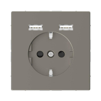 Розетка компьютерная USBx2 Schneider Electric Merten D-Life MTN2366-6050