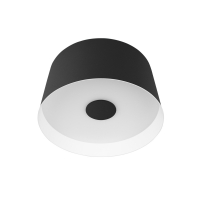 Потолочный светильник Loft IT Duo 10360S Black