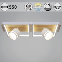 Потолочный светильник Reluce 19560-0.3-2+2 WH+WOOD