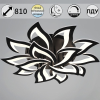 Потолочная люстра Reluce 30150-0.3-10+5 BK