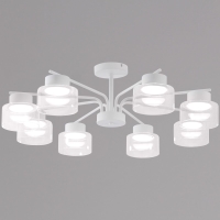 Люстра на штанге Reluce 48010-0.3-08 WT