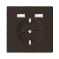 Розетка компьютерная USBx2 Schneider Electric Merten D-Life MTN2366-6052