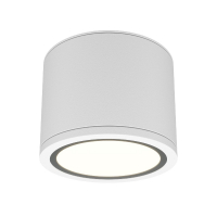 Накладной светильник Maytoni Rendo C095CL-GX53-W