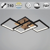 Потолочный светильник Reluce 49560-0.3-03 BK+WOOD