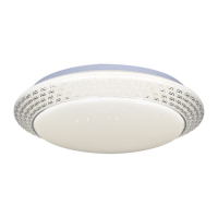 Потолочный светильник Reluce 20331-0.3-48W