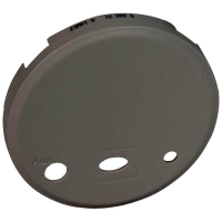 Лицевая панель Legrand Celiane модуля с входом для источника звука и блоком питания графит 067871