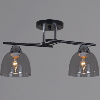 Потолочный светильник Reluce 06098-0.3-02 BK+CR