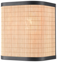 Настенный светильник Velante 568-711-01