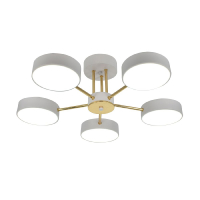 Потолочная люстра Escada Rune 10262/5LED