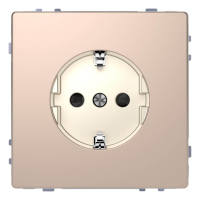 Розетка Schneider Electric Merten D-Life 16A с/з и шторками MTN2300-6051