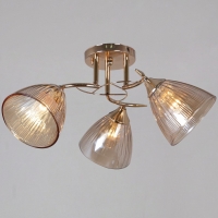 Потолочный светильник Reluce 02560-0.3-03 FG